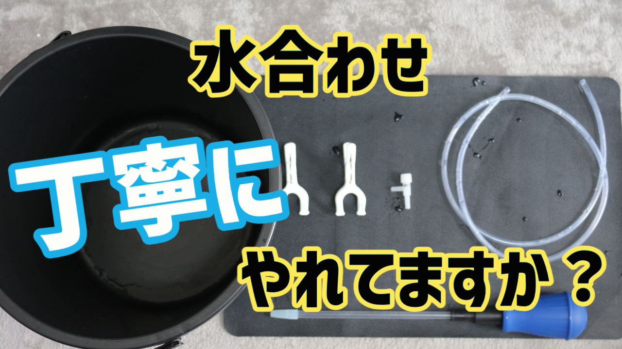 メダカ の 水 合わせ