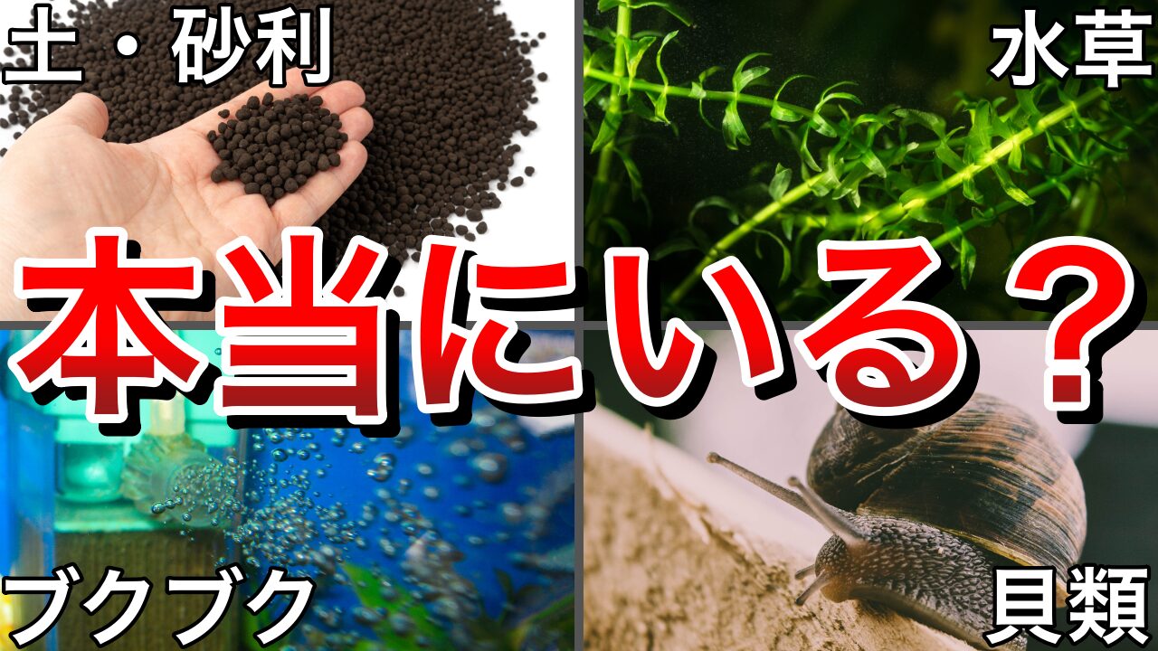 メダカ ブクブク 必要