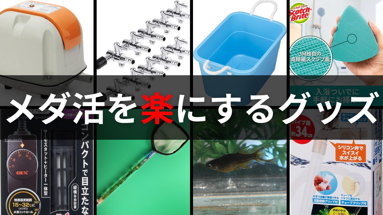 メダカを死なせない水換えのやり方!全換水と部分換水それぞれ解説し ...