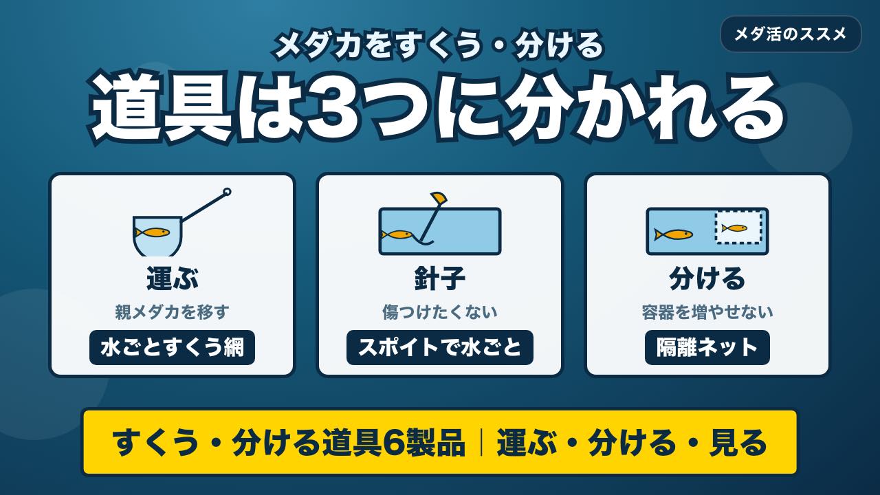 メダカをすくう・分ける道具の比較｜運ぶ・分ける・見るで選ぶ6製品