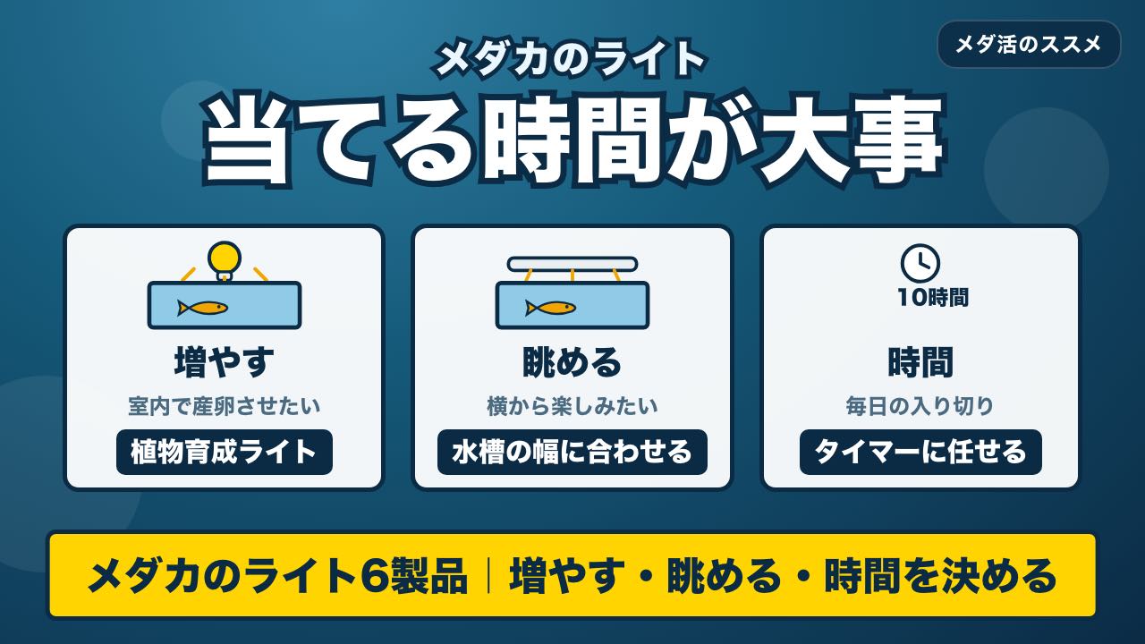 メダカのライトの比較｜増やす・眺めるで選ぶ6製品と、当てる時間の目安