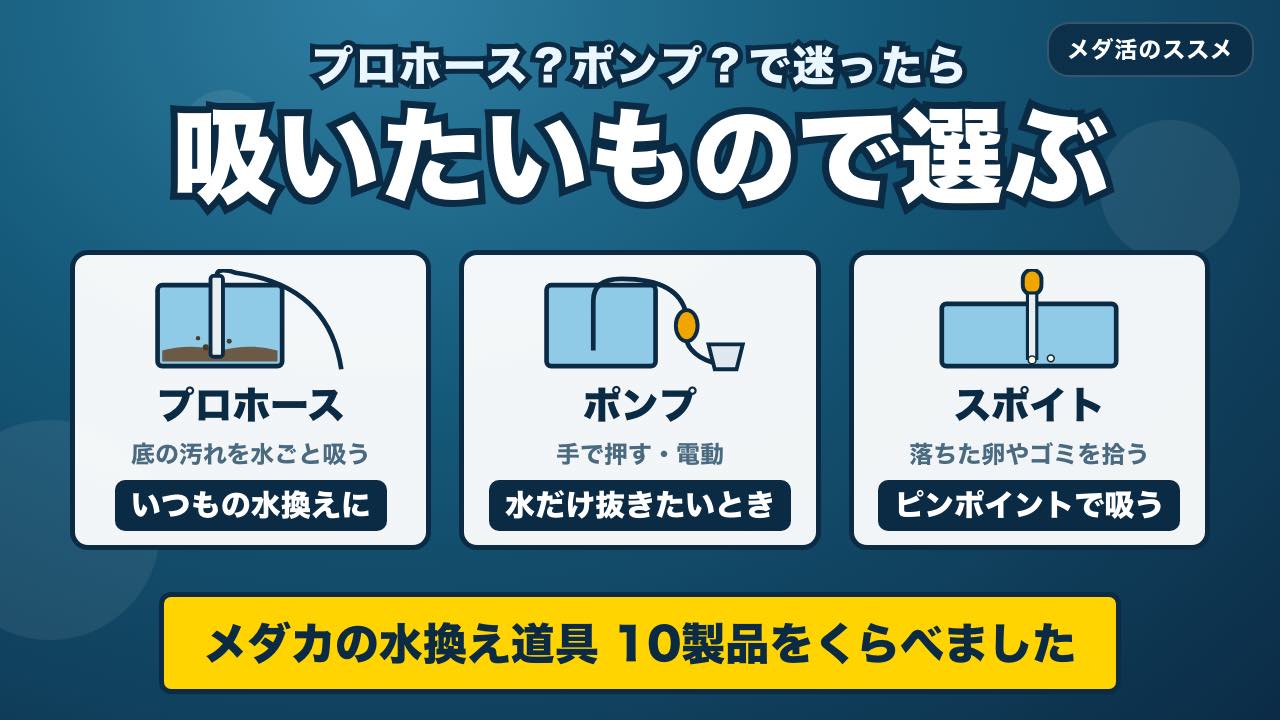メダカの水換え道具を吸いたいもので選ぶ 10製品の比較