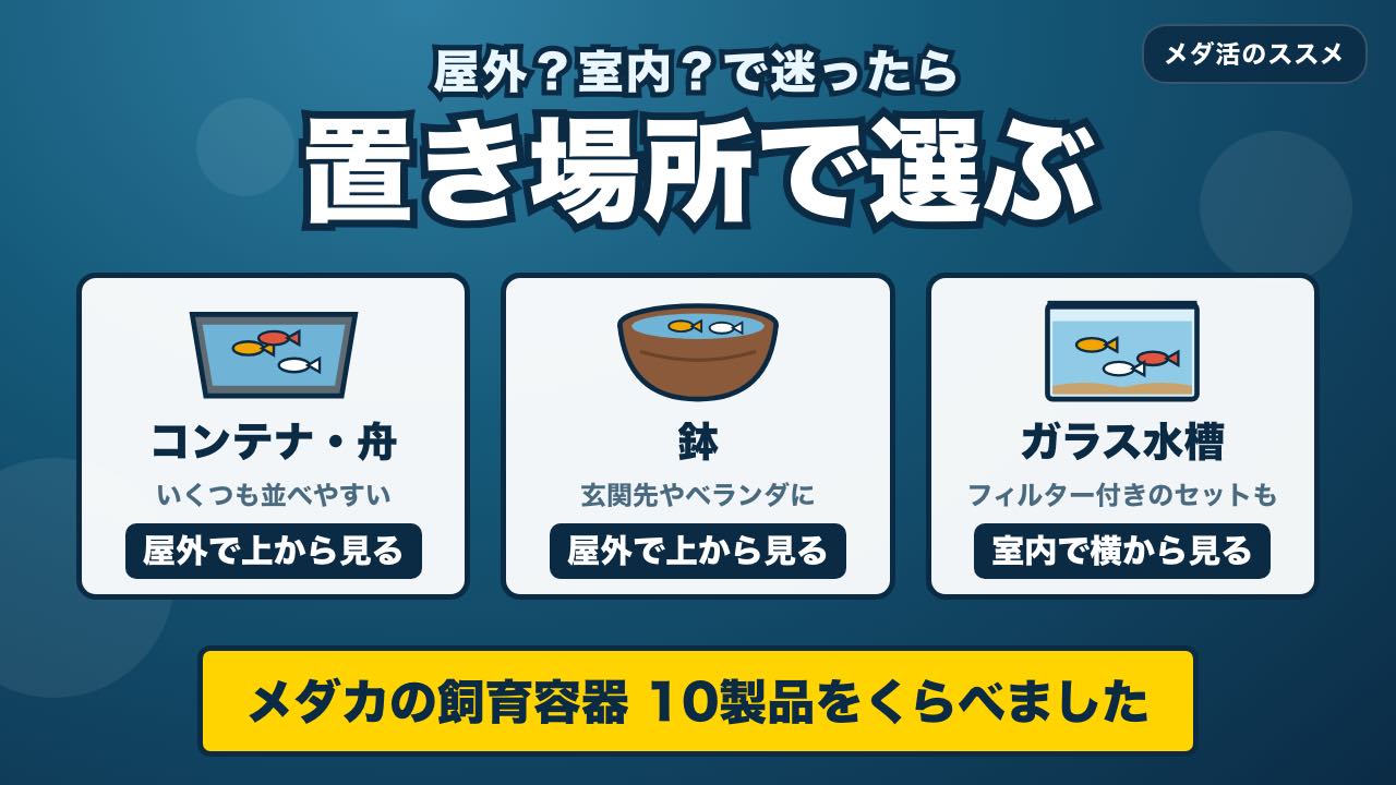 メダカの飼育容器を置き場所で選ぶ 10製品の比較